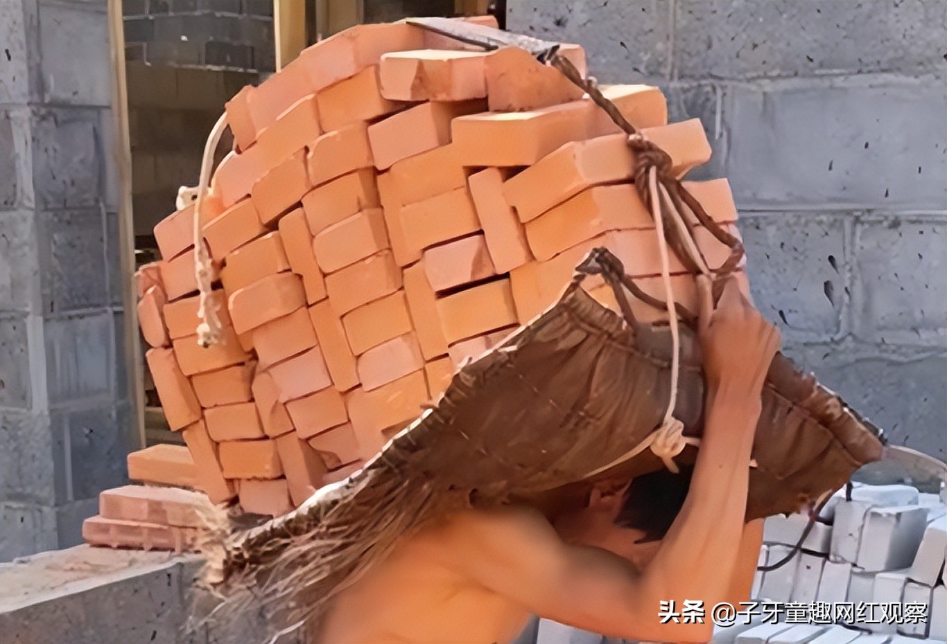 云南做黑暗料理网红,_云南老汉老杨 黑暗料理 网红